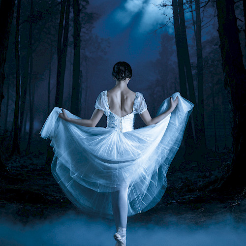 Charkiv City Ballet