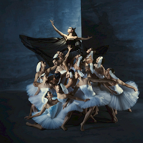 Introdans