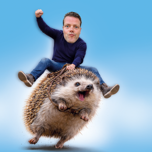 Martijn Koning