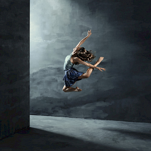 Introdans