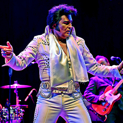 The Elvis Concert (USA)